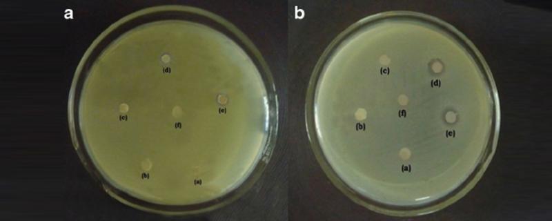 Biocide Antimicrobial supplier in Khartoum Sudan, Juba, Nzara, South Sudan, Safola, Suba, Al Gabaa, Omdurman Alshabi